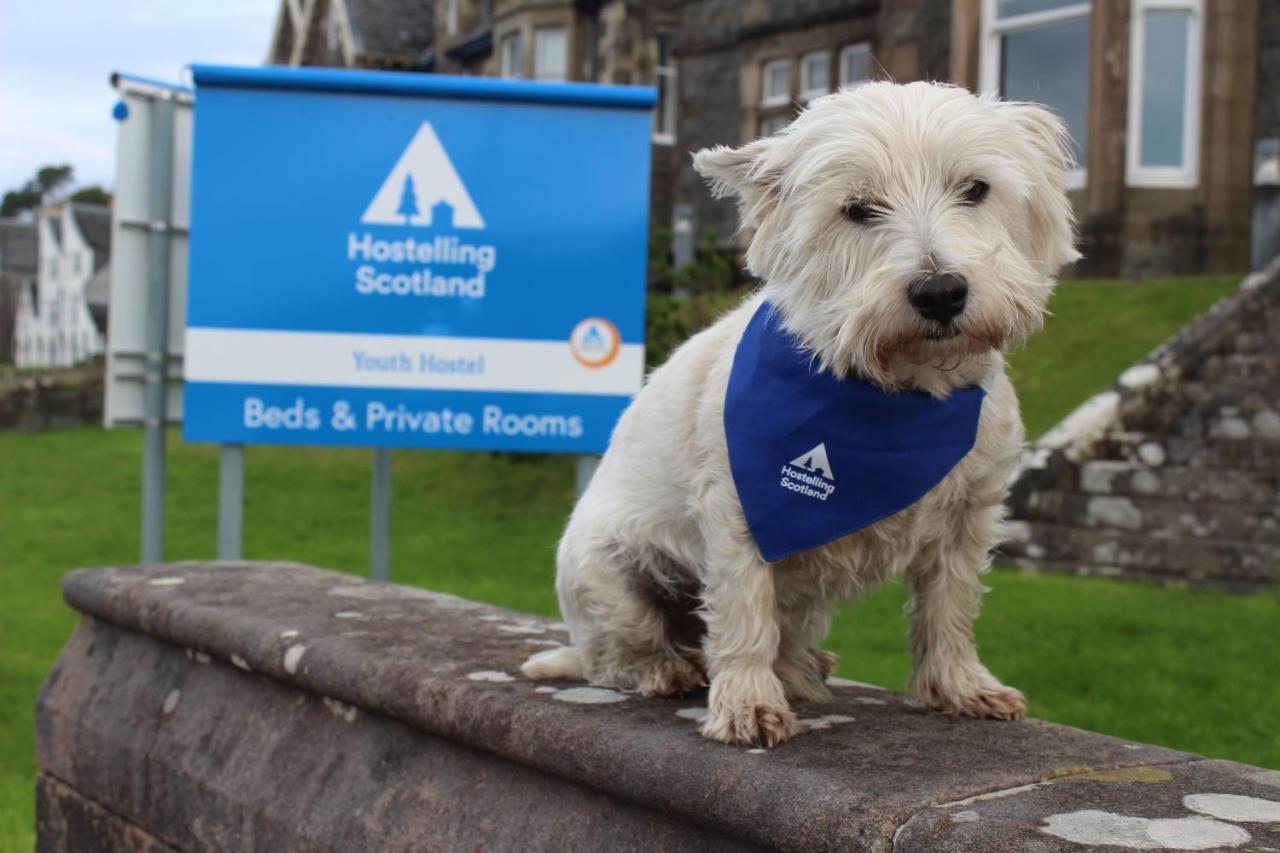 Oban Youth Hostel エクステリア 写真 The West Highland White Terrier is the official dog of the AA